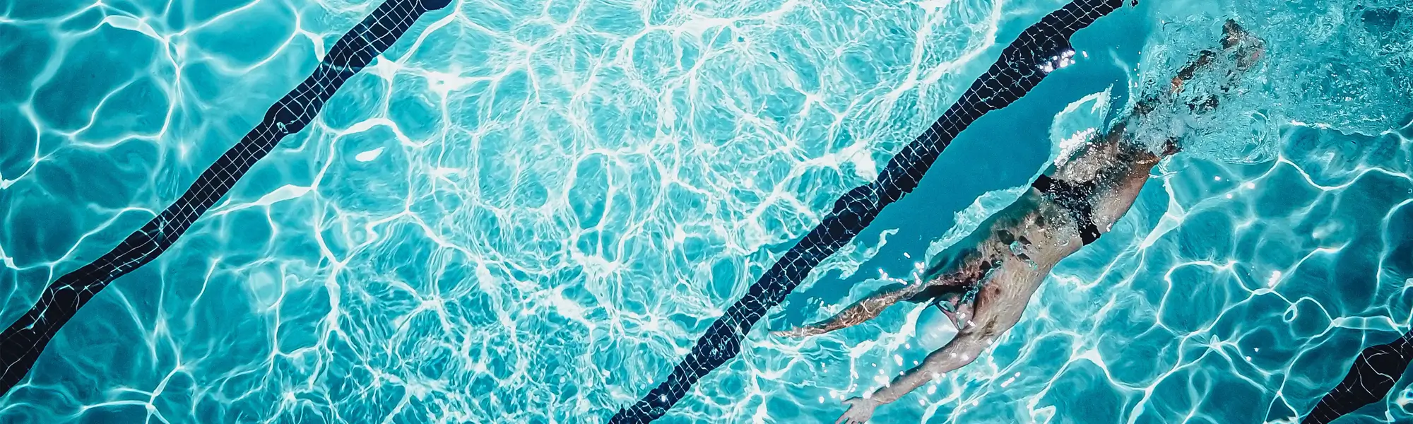 Club de natation dignois activité natation loisir adultes